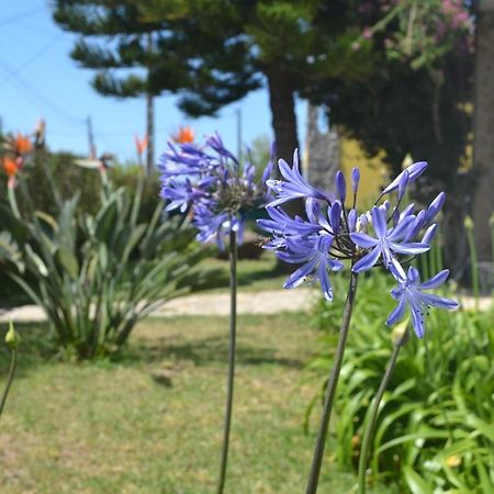 Meraki Guesthouse Ericeira Luaran gambar